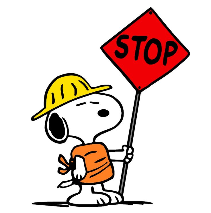 errorsnoopypic3